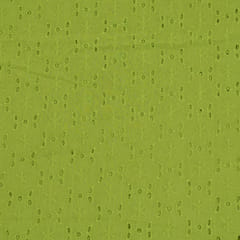 Green Color Cotton Chikan Embroidered Fabric