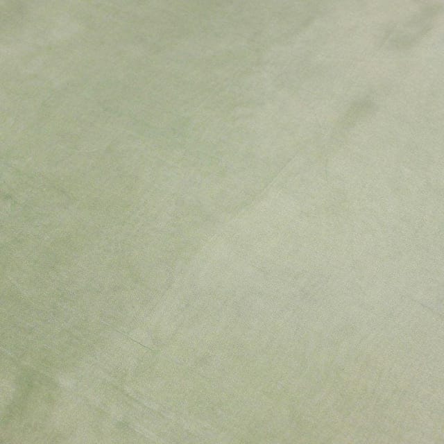 Pastel Green Plain Uppada Silk fabric