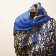 Kota Silk Dupatta