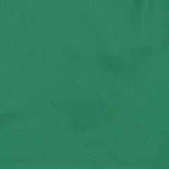 Green Poly Georgette fabric