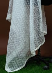 White Dyeble Organza Embroidered Dupatta