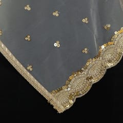 White Dyeble Net Embroidered Dupatta