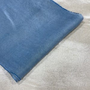 Light Blue Color Tissue Upada Fabric