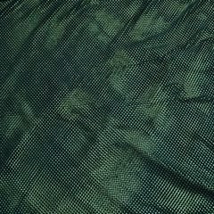 Green Color Net Saroaski Embroidery