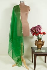 Green Color Organza Scalped Dupatta