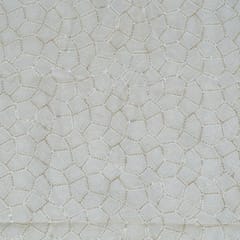 White Dyeable Organza Embroidered Fabric