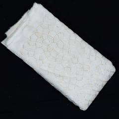 White Dyeable Organza Embroidered Fabric