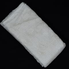 White Dyeable Organza Embroidered Fabric