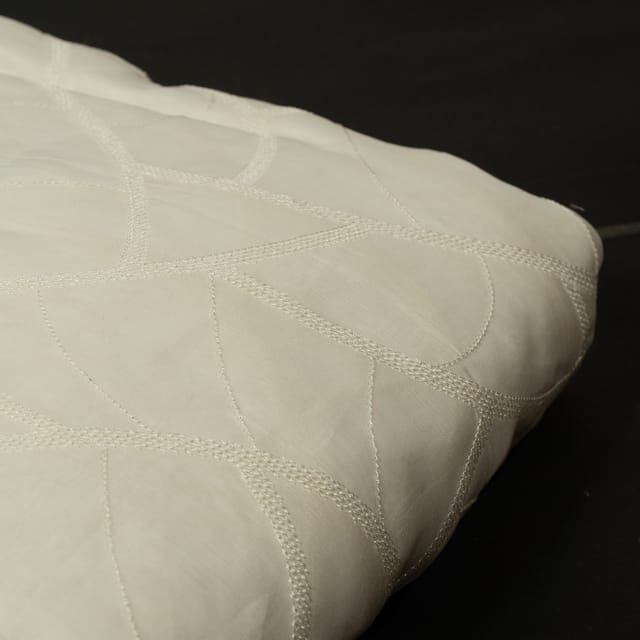 White Dyeable Viscose Organza Embroidered Fabric