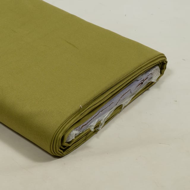 Light Green Color Pashmina Fabric