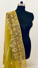 Tissue Organza Embroiedered Dupatta