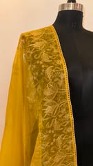 Tissue Organza Embroiedered Dupatta