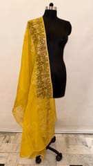 Tissue Organza Embroiedered Dupatta