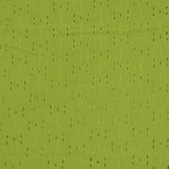 Green Color Cotton Chikan Embroidered Fabric (80Cm Piece)