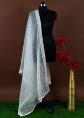 White Dyeble Organza Embroidered Dupatta