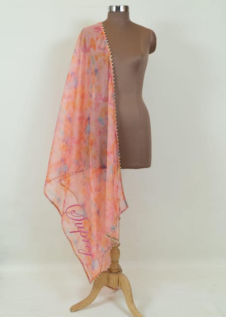 Multicolor Organza Embroidered Dupatta