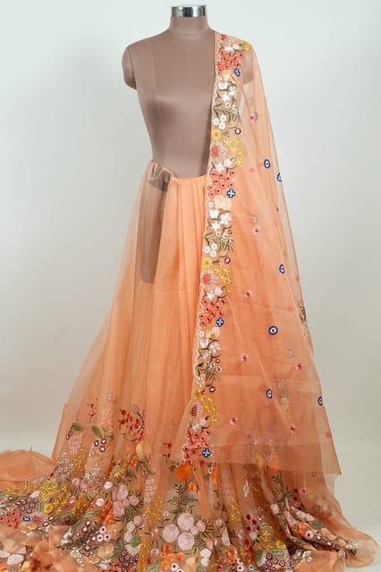 Peach Color Thread Embroidered Organza Set