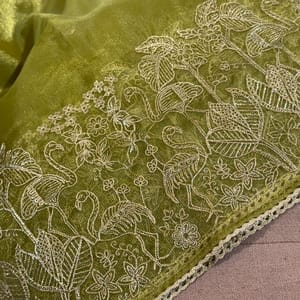 Tissue Organza Embroiedered Dupatta